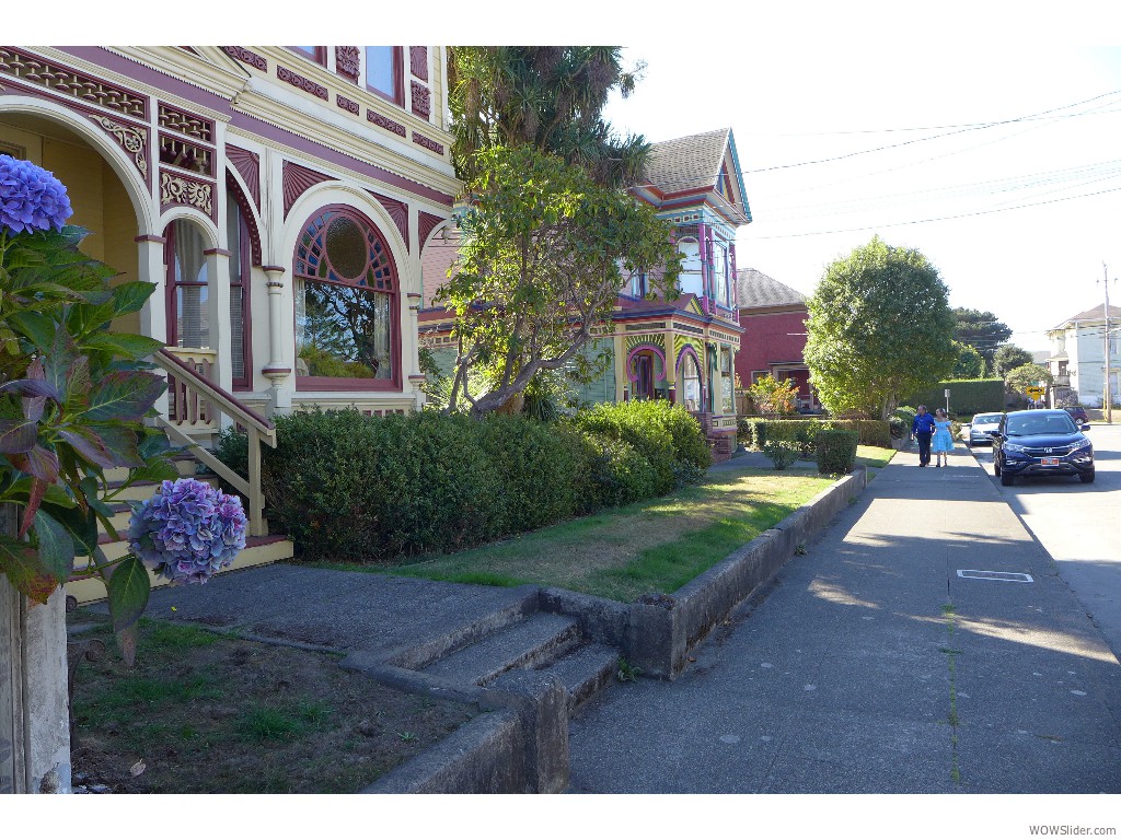 232 Hillsdale 6