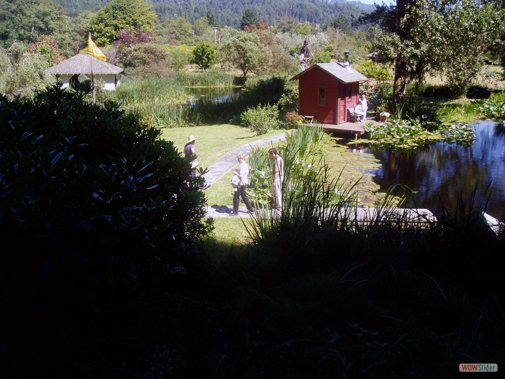 Summer Event 2004008